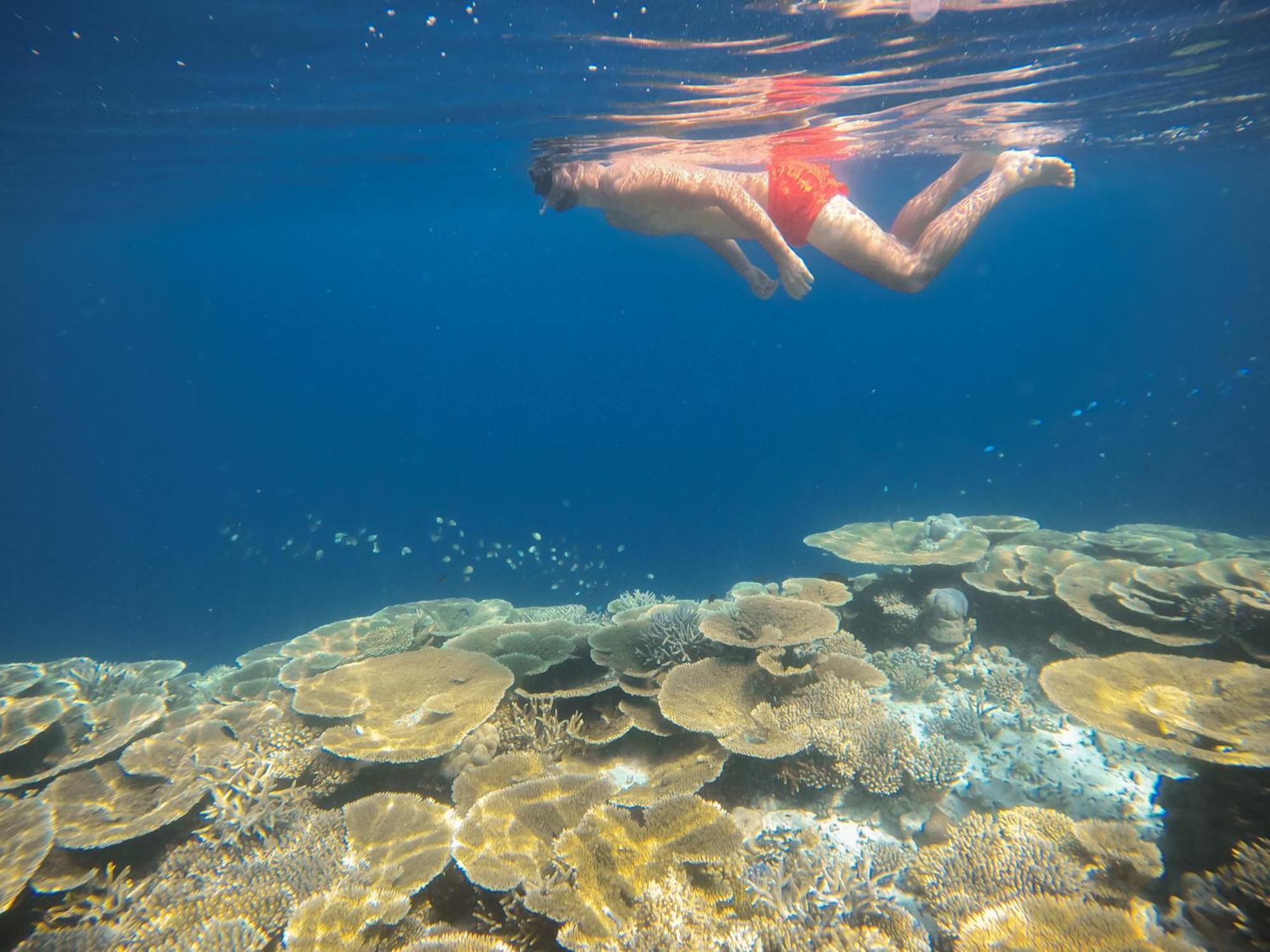 Ostrov Beach Ukulhas Island Ngoại thất bức ảnh